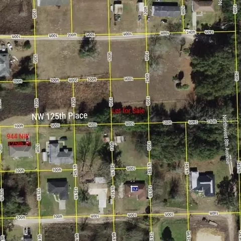 tbd NW 125th Pl, Citra, FL 32113