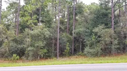 9239 N Irondale Rd, Citrus Springs, FL 34434