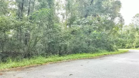 9775 N Dearing Loop, Citrus Springs, FL 34434