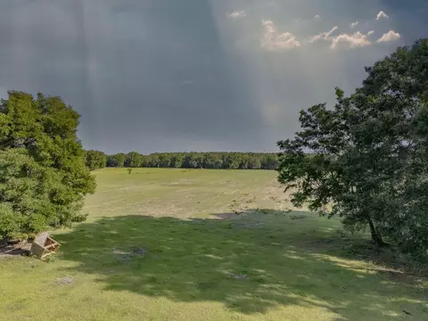 000 NE 75 St, Williston, FL 32696