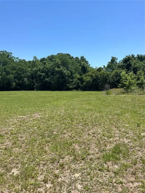 tbd NW 125 Ln, Citra, FL 32113