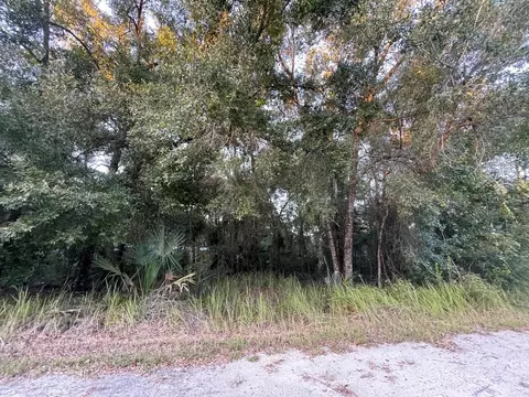 NE 132nd Street, Salt Springs, FL 32134
