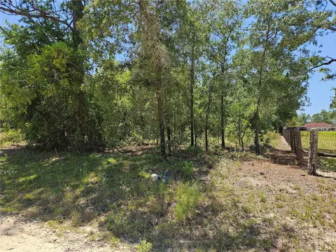 tbd SE 25th St, Morriston, FL 32668
