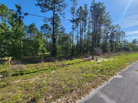 NW Shamrock Avenue, Dunnellon, FL 34431