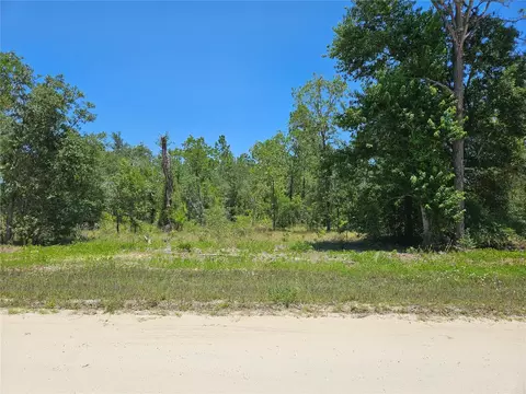 tbd SE 26th St, Morriston, FL 32668