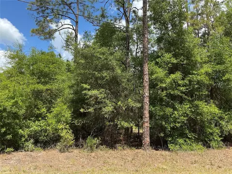 Guava Pass Drive, Ocklawaha, FL 32179