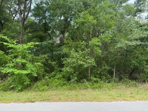 lot14 SW Chanel Heights Ct, Dunnellon, FL 34431
