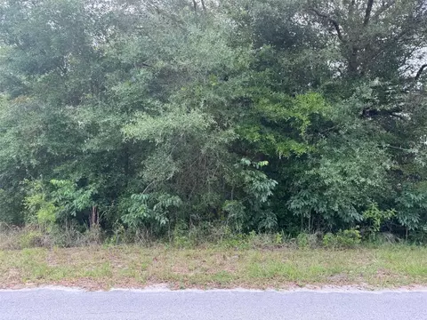 lot422 SW 423 Sw Shorewood Dr, Dunnellon, FL 34431