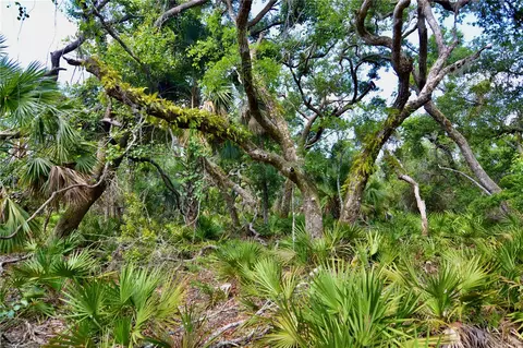 00 Leroy Lyons Rd, Perry, FL 32348