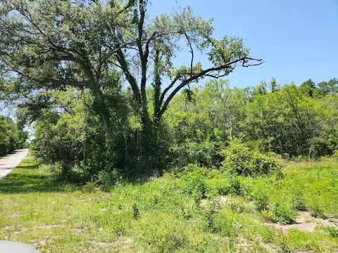 lot57 SW Marine Blvd, Dunnellon, FL 34431