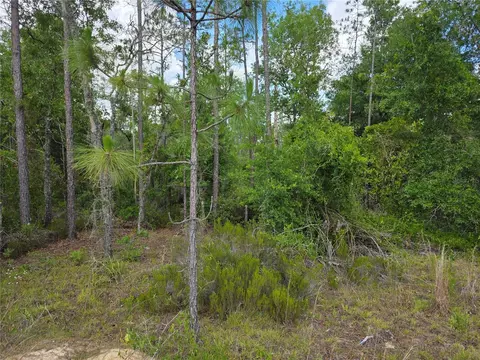 tbd NE 131st Ct, Williston, FL 32696