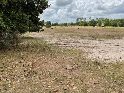 tbd NE 46th Ln, Bronson, FL 32621 photo 4