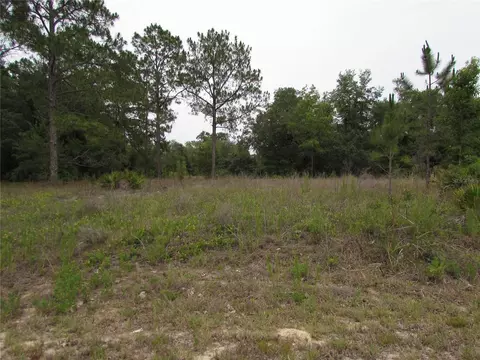 lot40 SW South Wind Ct, Dunnellon, FL 34431