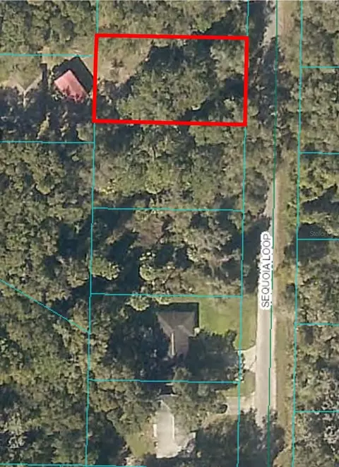 0 Sequoia Loop, Ocklawaha, FL 32179