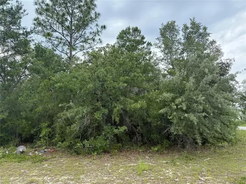 0000 SW 138th Ln, Ocala, FL 34473