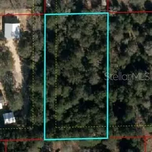 11 0, Bronson, FL 32621