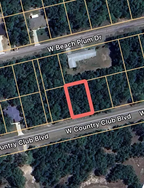 1567 W Country Club Blvd, Citrus Springs, FL 34434