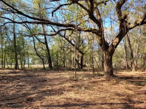 3 NE 57ac Ne 315 Hwy #32, Fort Mc Coy, FL 32134
