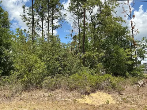 SE 160th Place, Summerfield, FL 34491