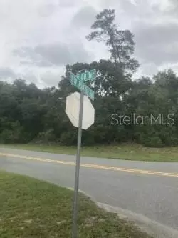 00 SW 158 St, Ocala, FL 34473