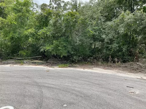 tbd Lots 55 57 Malauka Radl, Ocklawaha, FL 32179