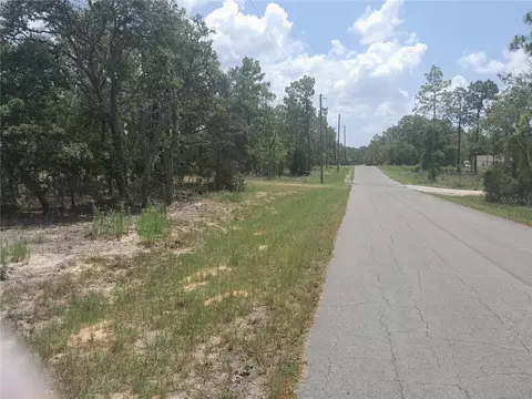 tbd NE 7th Pl, Williston, FL 32696
