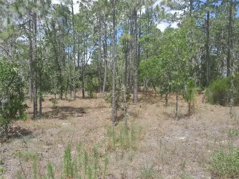 tbd NE 149th Ct, Williston, FL 32696 photo 2