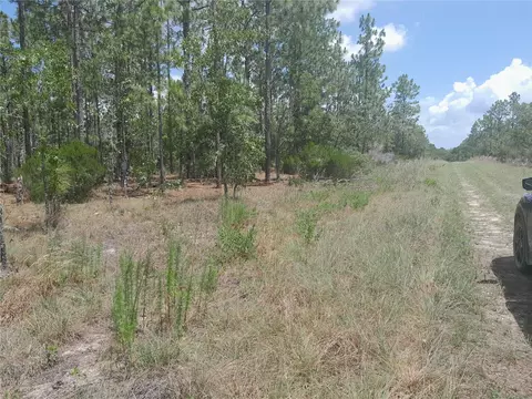 tbd NE 149th Ct, Williston, FL 32696 photo 4