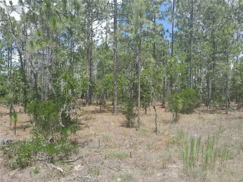 tbd NE 149th Ct, Williston, FL 32696