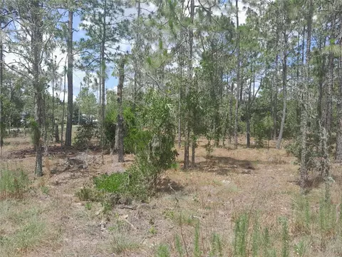 tbd NE 149th Ct, Williston, FL 32696 photo 3
