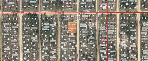 00 Mobile St, Interlachen, FL 32148
