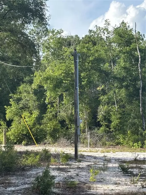 NW 30th Street, Bell, FL 32619