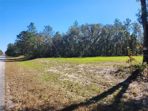 tbd SW 137 St, Ocala, FL 34473