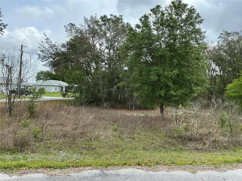 SE 152nd Lane, Summerfield, FL 34491