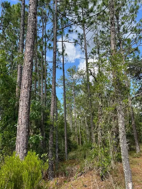 000 NE 138 Ave, Williston, FL 32696