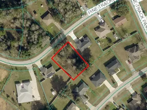 Pine Track Trail, Ocala, FL 34472