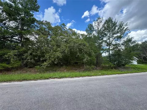 0 Malauka Pass Crse, Ocklawaha, FL 32179