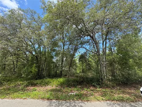 0 Fisher Lane Way #LOT 8, Ocklawaha, FL 32179
