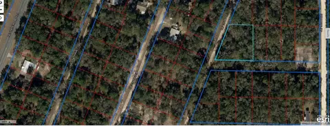 00 NE 9th Pl, Williston, FL 32696