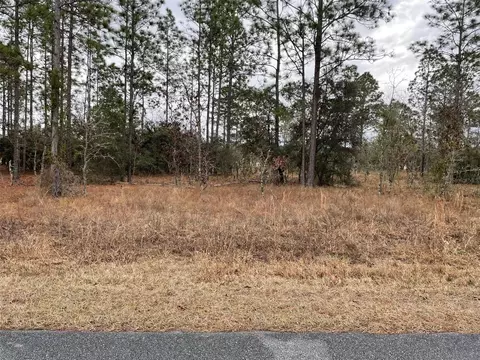 lot14 SE 136 Ter, Dunnellon, FL 34431