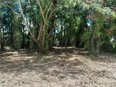 tbd NE 48th St, Williston, FL 32696 photo 2