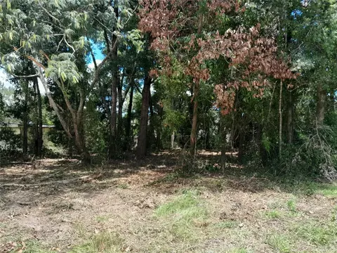tbd NE 48th St, Williston, FL 32696 photo 4