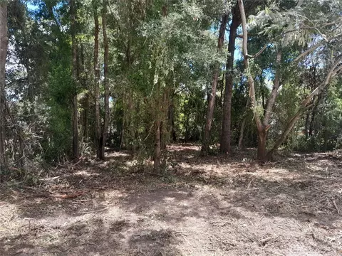tbd NE 48th St, Williston, FL 32696 photo 3