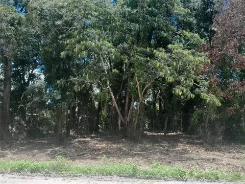tbd NE 48th St, Williston, FL 32696 photo 5