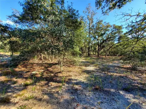 lot4 SW Paradise Heights Rd, Dunnellon, FL 34431