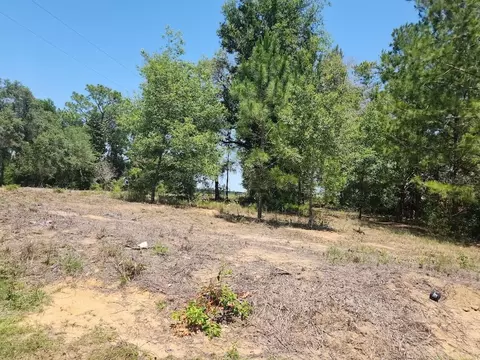lot1 SW Pine Bluffs Rd, Dunnellon, FL 34431