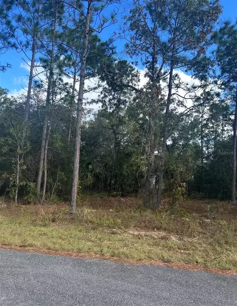 tbd Locust Loop Pl #LOT 7, Ocala, FL 34472