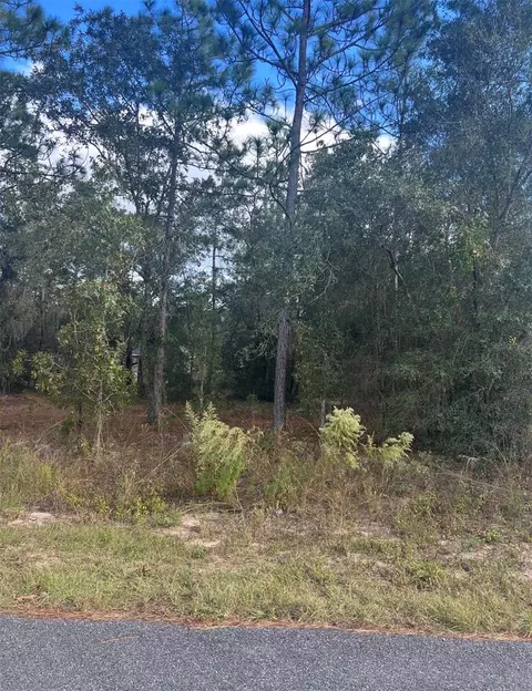 tbd Locust Loop Pl #LOT 8, Ocala, FL 34472