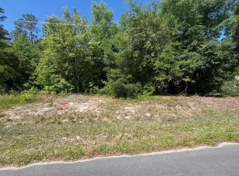 tbd Locust Course Radl #LOT 20, Ocala, FL 34472
