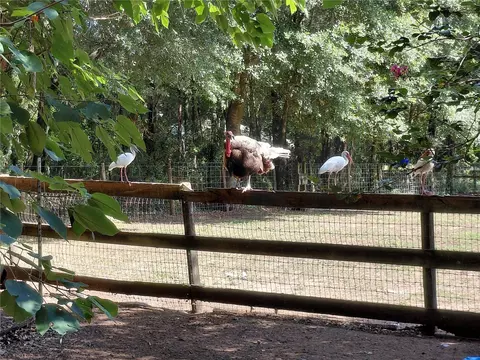 Other - 33 Pine Trace Crse, Ocala, FL 34472 photo 6 of 18